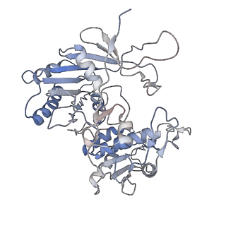 36138_8jay_A_v1-0
CrtSPARTA Octamer bound with guide-target