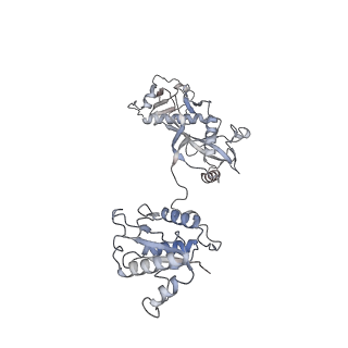 36138_8jay_B_v1-0
CrtSPARTA Octamer bound with guide-target