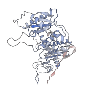 36138_8jay_C_v1-0
CrtSPARTA Octamer bound with guide-target