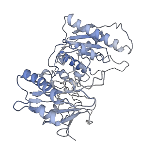 36138_8jay_M_v1-0
CrtSPARTA Octamer bound with guide-target