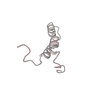 6316_3ja1_L0_v1-2
Activation of GTP Hydrolysis in mRNA-tRNA Translocation by Elongation Factor G