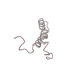 6316_3ja1_L0_v1-3
Activation of GTP Hydrolysis in mRNA-tRNA Translocation by Elongation Factor G