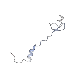 6316_3ja1_L3_v1-2
Activation of GTP Hydrolysis in mRNA-tRNA Translocation by Elongation Factor G