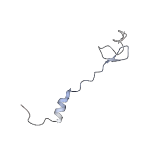 6316_3ja1_L3_v1-3
Activation of GTP Hydrolysis in mRNA-tRNA Translocation by Elongation Factor G