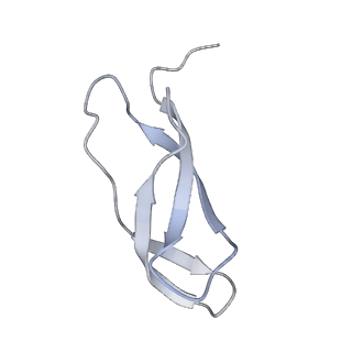 6316_3ja1_L4_v1-3
Activation of GTP Hydrolysis in mRNA-tRNA Translocation by Elongation Factor G