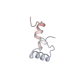 6316_3ja1_L5_v1-2
Activation of GTP Hydrolysis in mRNA-tRNA Translocation by Elongation Factor G