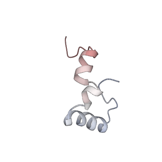 6316_3ja1_L5_v1-3
Activation of GTP Hydrolysis in mRNA-tRNA Translocation by Elongation Factor G