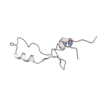 6316_3ja1_L6_v1-2
Activation of GTP Hydrolysis in mRNA-tRNA Translocation by Elongation Factor G
