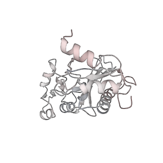 6316_3ja1_LC_v1-3
Activation of GTP Hydrolysis in mRNA-tRNA Translocation by Elongation Factor G