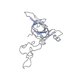 6316_3ja1_LE_v1-3
Activation of GTP Hydrolysis in mRNA-tRNA Translocation by Elongation Factor G