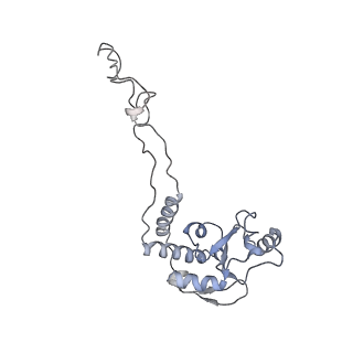 6316_3ja1_LF_v1-2
Activation of GTP Hydrolysis in mRNA-tRNA Translocation by Elongation Factor G