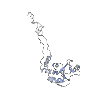 6316_3ja1_LF_v1-3
Activation of GTP Hydrolysis in mRNA-tRNA Translocation by Elongation Factor G