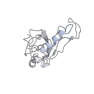 6316_3ja1_LG_v1-2
Activation of GTP Hydrolysis in mRNA-tRNA Translocation by Elongation Factor G