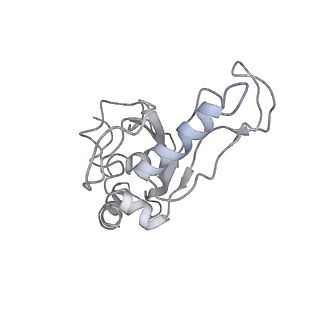 6316_3ja1_LG_v1-3
Activation of GTP Hydrolysis in mRNA-tRNA Translocation by Elongation Factor G