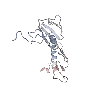 6316_3ja1_LH_v1-2
Activation of GTP Hydrolysis in mRNA-tRNA Translocation by Elongation Factor G
