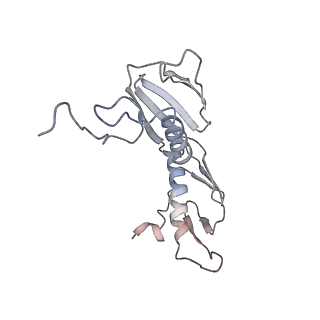 6316_3ja1_LH_v1-3
Activation of GTP Hydrolysis in mRNA-tRNA Translocation by Elongation Factor G