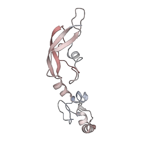6316_3ja1_LI_v1-2
Activation of GTP Hydrolysis in mRNA-tRNA Translocation by Elongation Factor G