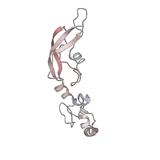 6316_3ja1_LI_v1-3
Activation of GTP Hydrolysis in mRNA-tRNA Translocation by Elongation Factor G