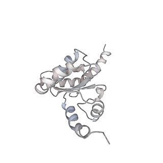 6316_3ja1_LJ_v1-3
Activation of GTP Hydrolysis in mRNA-tRNA Translocation by Elongation Factor G