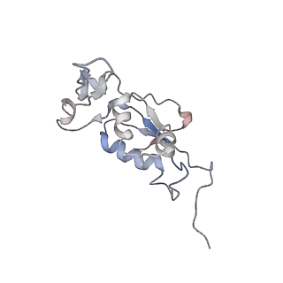 6316_3ja1_LL_v1-2
Activation of GTP Hydrolysis in mRNA-tRNA Translocation by Elongation Factor G
