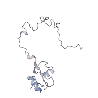 6316_3ja1_LN_v1-2
Activation of GTP Hydrolysis in mRNA-tRNA Translocation by Elongation Factor G