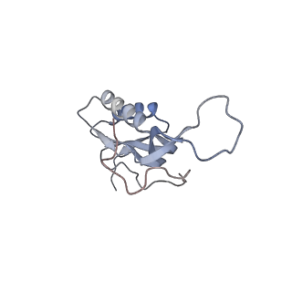 6316_3ja1_LO_v1-3
Activation of GTP Hydrolysis in mRNA-tRNA Translocation by Elongation Factor G