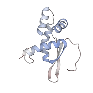 6316_3ja1_LP_v1-2
Activation of GTP Hydrolysis in mRNA-tRNA Translocation by Elongation Factor G
