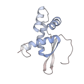 6316_3ja1_LP_v1-3
Activation of GTP Hydrolysis in mRNA-tRNA Translocation by Elongation Factor G