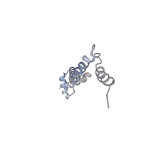 6316_3ja1_LS_v1-2
Activation of GTP Hydrolysis in mRNA-tRNA Translocation by Elongation Factor G