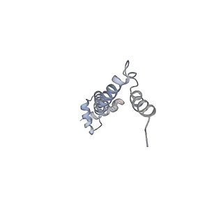 6316_3ja1_LS_v1-3
Activation of GTP Hydrolysis in mRNA-tRNA Translocation by Elongation Factor G