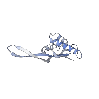 6316_3ja1_LU_v1-2
Activation of GTP Hydrolysis in mRNA-tRNA Translocation by Elongation Factor G