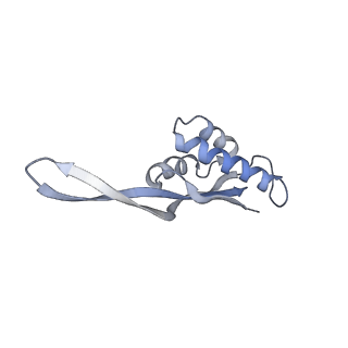 6316_3ja1_LU_v1-3
Activation of GTP Hydrolysis in mRNA-tRNA Translocation by Elongation Factor G