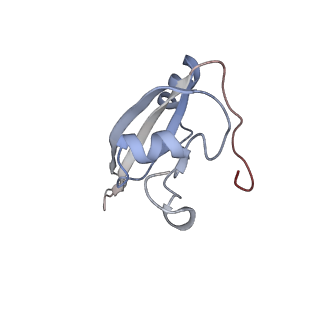 6316_3ja1_LV_v1-3
Activation of GTP Hydrolysis in mRNA-tRNA Translocation by Elongation Factor G