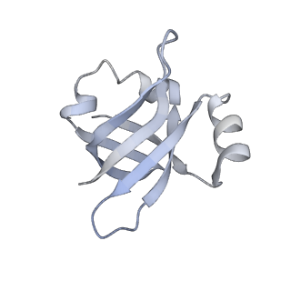 6316_3ja1_LX_v1-2
Activation of GTP Hydrolysis in mRNA-tRNA Translocation by Elongation Factor G