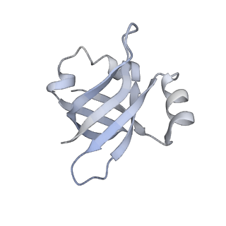 6316_3ja1_LX_v1-3
Activation of GTP Hydrolysis in mRNA-tRNA Translocation by Elongation Factor G