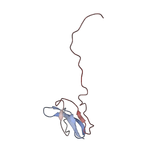 6316_3ja1_LY_v1-3
Activation of GTP Hydrolysis in mRNA-tRNA Translocation by Elongation Factor G