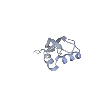 6316_3ja1_LZ_v1-2
Activation of GTP Hydrolysis in mRNA-tRNA Translocation by Elongation Factor G
