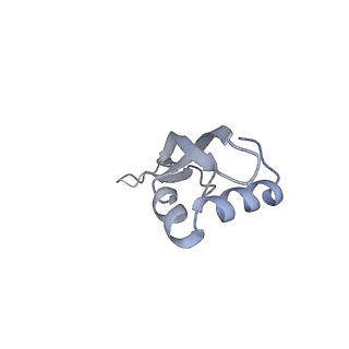 6316_3ja1_LZ_v1-3
Activation of GTP Hydrolysis in mRNA-tRNA Translocation by Elongation Factor G