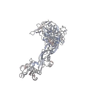 6316_3ja1_S3_v1-3
Activation of GTP Hydrolysis in mRNA-tRNA Translocation by Elongation Factor G