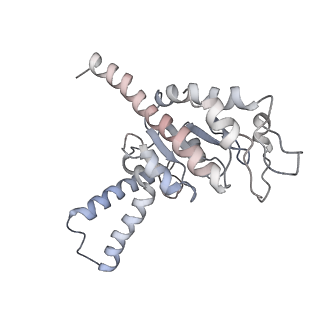 6316_3ja1_SB_v1-2
Activation of GTP Hydrolysis in mRNA-tRNA Translocation by Elongation Factor G