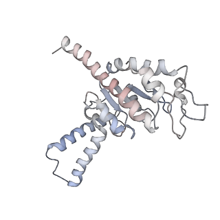 6316_3ja1_SB_v1-3
Activation of GTP Hydrolysis in mRNA-tRNA Translocation by Elongation Factor G