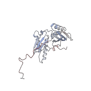 6316_3ja1_SC_v1-2
Activation of GTP Hydrolysis in mRNA-tRNA Translocation by Elongation Factor G