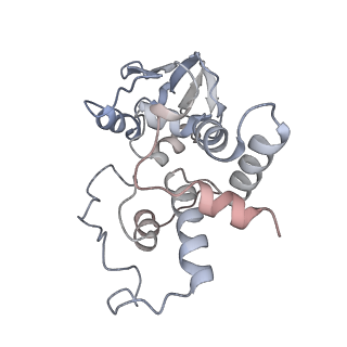 6316_3ja1_SD_v1-2
Activation of GTP Hydrolysis in mRNA-tRNA Translocation by Elongation Factor G