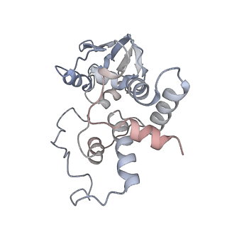 6316_3ja1_SD_v1-3
Activation of GTP Hydrolysis in mRNA-tRNA Translocation by Elongation Factor G