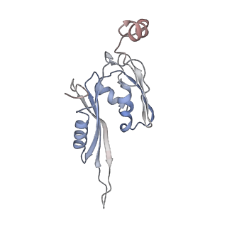 6316_3ja1_SE_v1-2
Activation of GTP Hydrolysis in mRNA-tRNA Translocation by Elongation Factor G