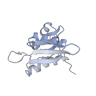 6316_3ja1_SH_v1-3
Activation of GTP Hydrolysis in mRNA-tRNA Translocation by Elongation Factor G