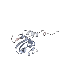 6316_3ja1_SI_v1-3
Activation of GTP Hydrolysis in mRNA-tRNA Translocation by Elongation Factor G