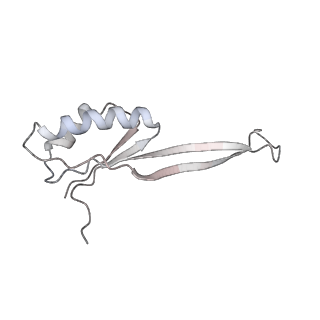 6316_3ja1_SJ_v1-3
Activation of GTP Hydrolysis in mRNA-tRNA Translocation by Elongation Factor G