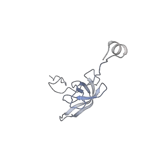 6316_3ja1_SL_v1-3
Activation of GTP Hydrolysis in mRNA-tRNA Translocation by Elongation Factor G