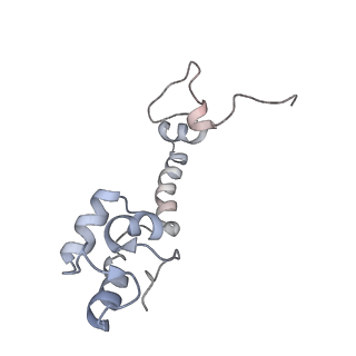 6316_3ja1_SM_v1-2
Activation of GTP Hydrolysis in mRNA-tRNA Translocation by Elongation Factor G